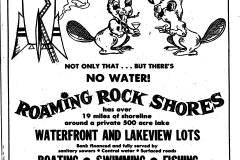 1969AdPDRRS18Julp99Moon